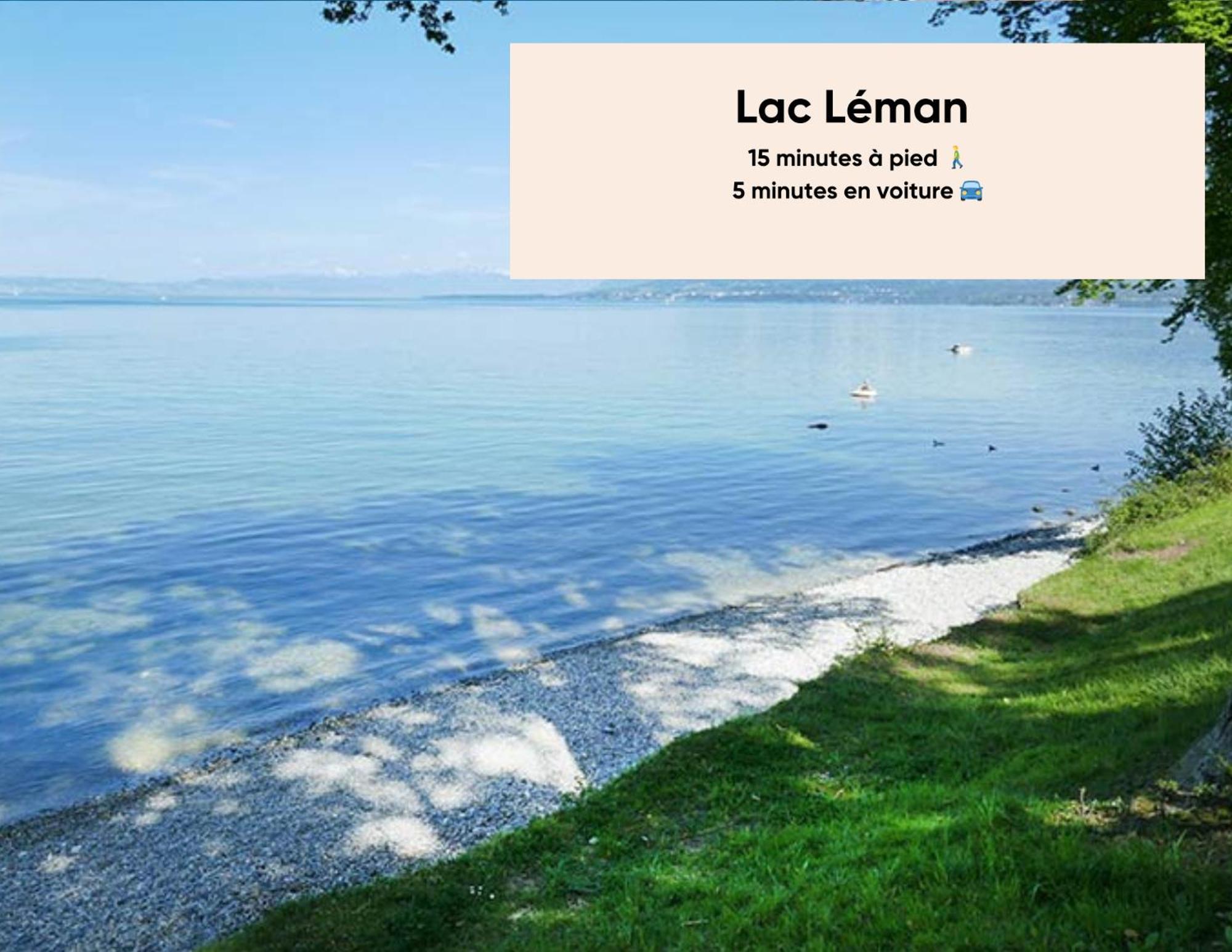 Cosy Et Moderne - Dent D'Oche Apartment Thonon-les-Bains Ngoại thất bức ảnh